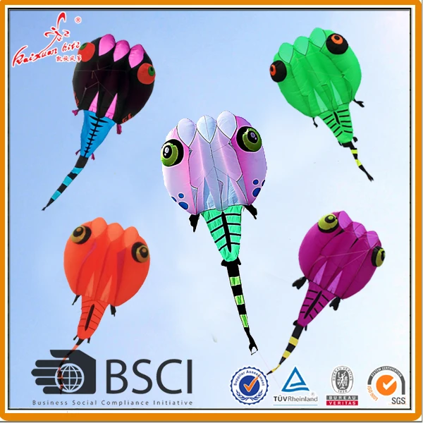 

30 sqm Tadpole Kite, soft kite, show kite, Lifter
