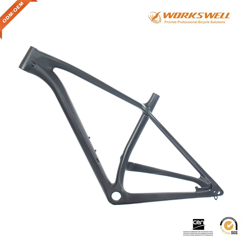 oem carbon frame