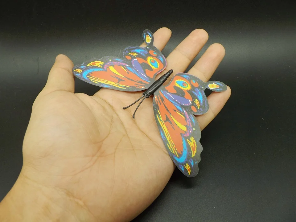 I195-Butterfly (2)