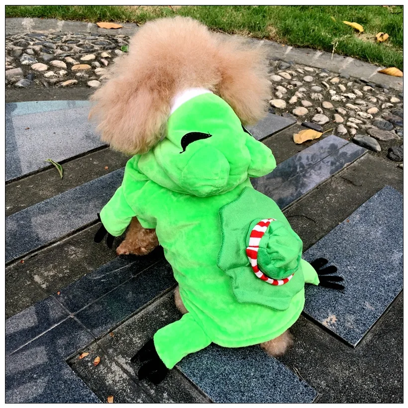 10966144378_179524885