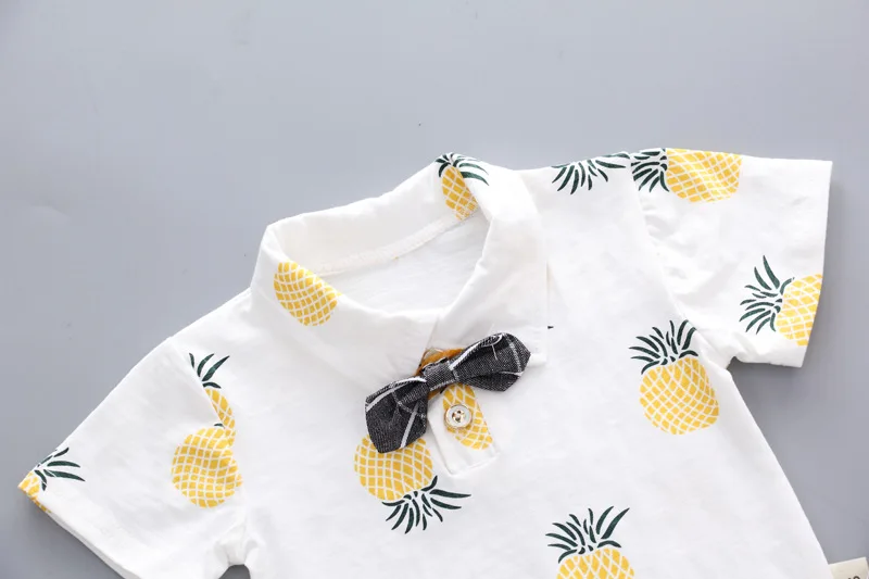 8726411664_1116374923