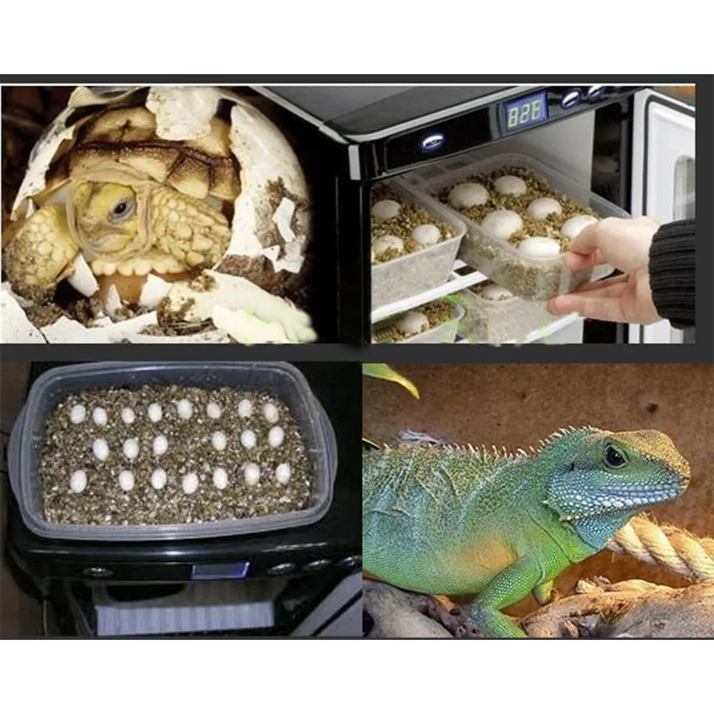 Incubadora de para reptiles, camaleón, Digital|Centro de mecanizado| - AliExpress