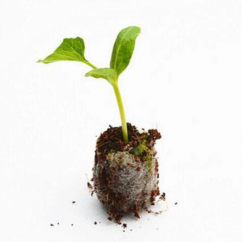 100 шт. 30 мм экологическая Джиффи теплица для растений заглушки почвенный блок стартер рассады Профессиональный трансплантация торф гранулы