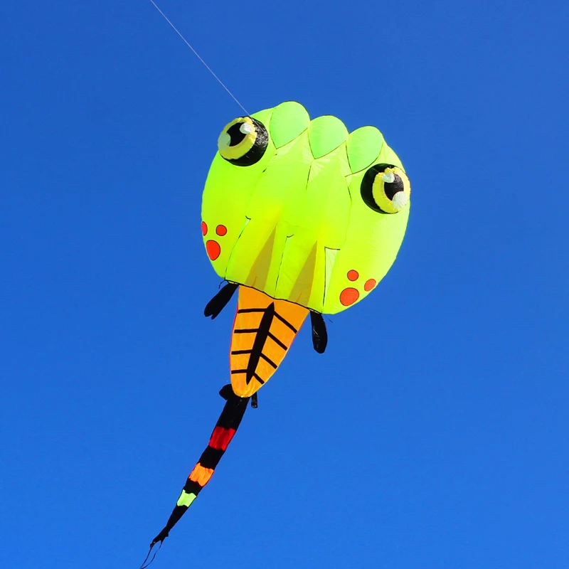 free shipping large tadpole kite nylon ripstop outdoor toys flying bird