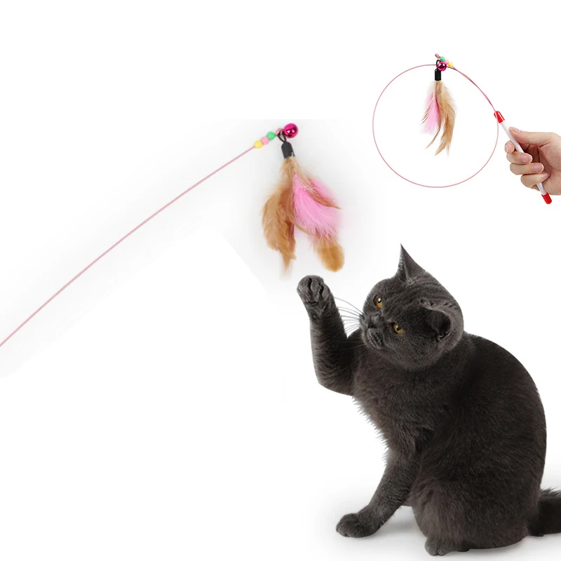 

5pcs Pet Cat Toy Cute Design Steel Wire Feather Teaser Wand Plastic Toy For Cats Kitten Game Time For Pet Product