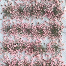 Розовый Minoan кружевной цветок свадебное украшение цветок 1 упаковка/30 шт