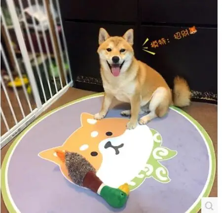 QQ20171227090739