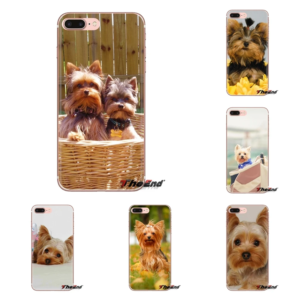 Yorkshire terrier dog puppy For Oneplus 3T 5T 6T Nokia 2 3 5 6 8 9 230 3310 2.1 3.1 5.1 7 Plus 2017 2018 Transparent TPU Housing |