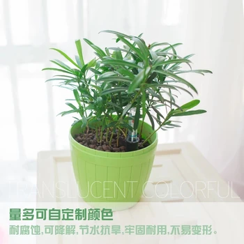 

Automatic water storage plastic flower pots