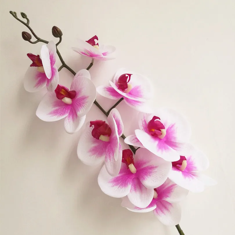 10 шт. искусственные длинные орхидеи фаленопсис|flowers real touch|real touch orchidsreal |