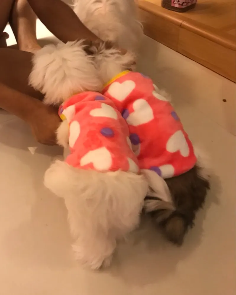 Очень рекомендуется 2 цвета кошка собака на теплой подкладке; зимняя одежда с леопардовым принтом Одежда для питомца Ropa Para костюм для собаки одежда для костюмированной вечеринки