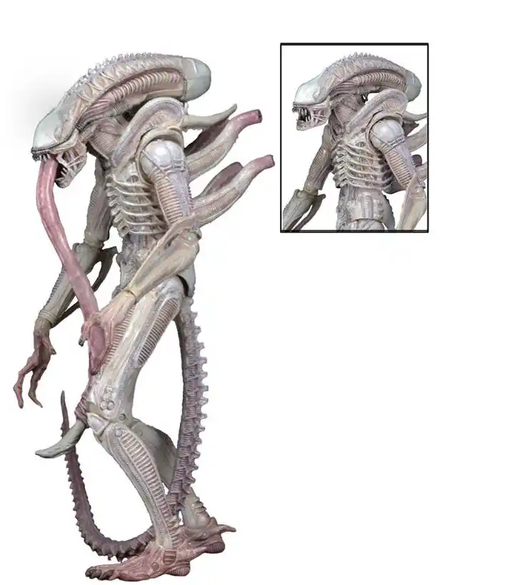 neomorph neca