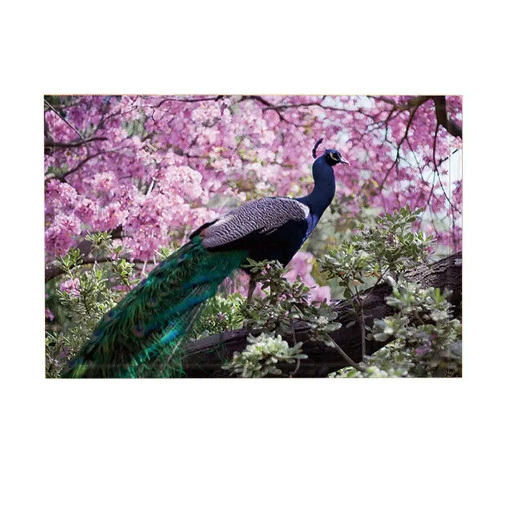 Animal Bath Rugs Wild Peacock On Tree Branch Pretty Plum Blossom