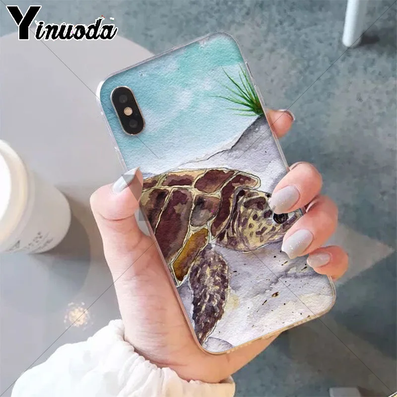 watercolor Turtle Tortoise