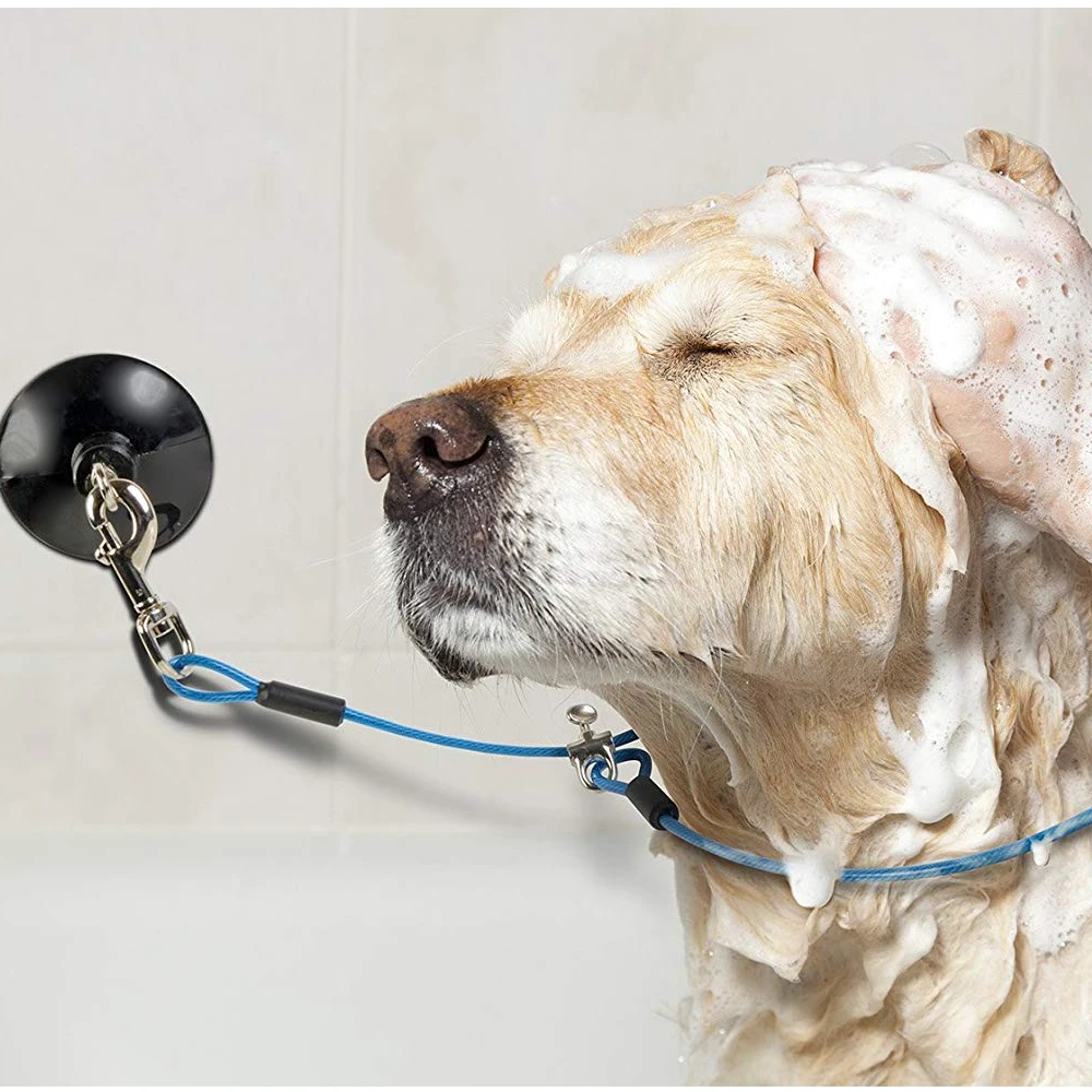 

Gomaomi Dog Durable Bathing and Grooming Tub Leash Restraint with Heavy Duty Industrial Suction Cup Keeps Dog in Tub