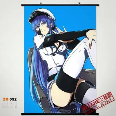 

Anime Home Decor Poster Wall Scroll Akame Ga Kill! Esdeath ZG052 60*90