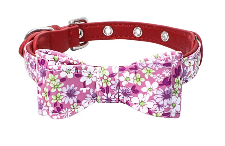 dog collar (9)