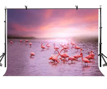 

7x5ft Pink Color Backdrop Firebird Habitat Evening Red Pink Clouds Background for Personal Party and Photography Background