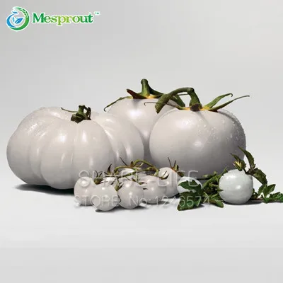 

Rare WHITE Tomato Bonsai Very Tasty Nutritive Heath Vegetables Bonsai 100PCS Heirloom Tomato Bonsai