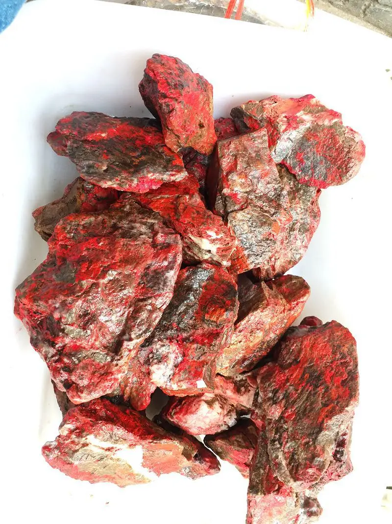 5 very rare Natural Dragon Blood Stone Jasper Crystal Specimenin