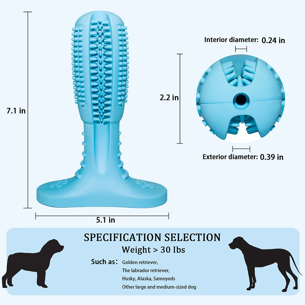 dog toothbrush 10