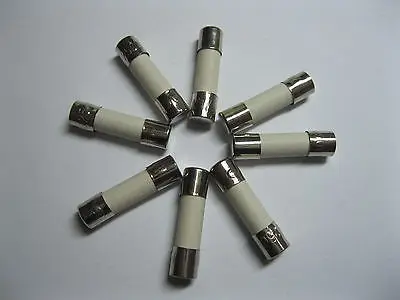 

10 Pcs Slow Blow Ceramic Fuses 3.15A T3.15A 250V 5mm x 20mm