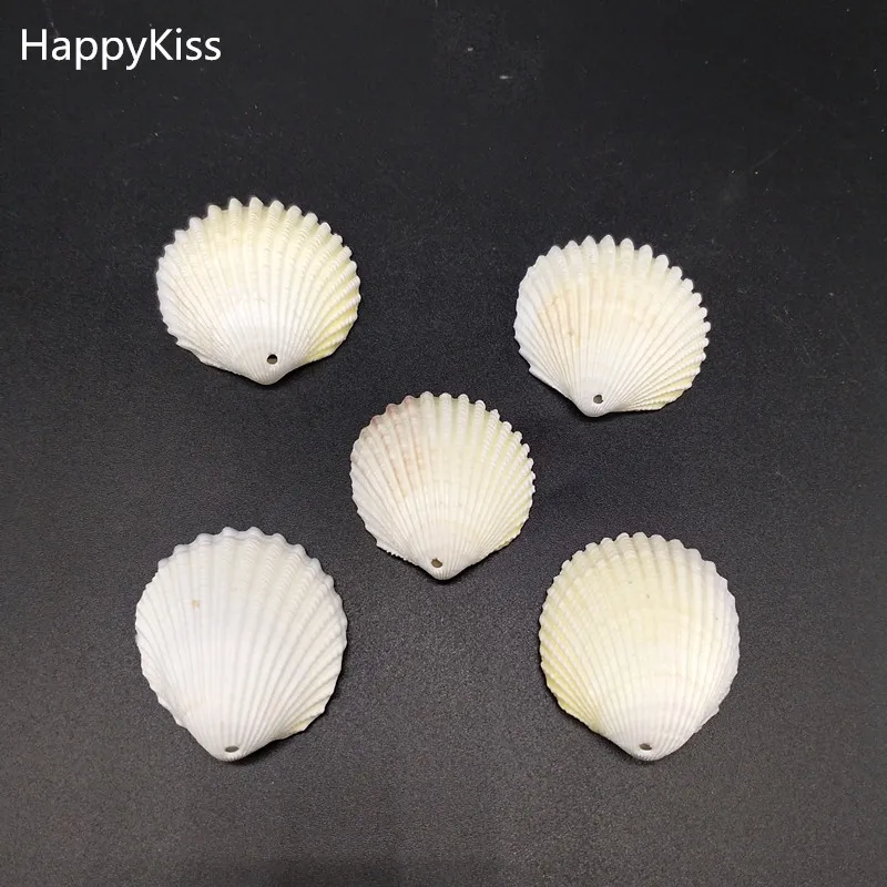 

5pcs white seashells Natural shell conch DIY decoration sea style shell drilling and piercing beads