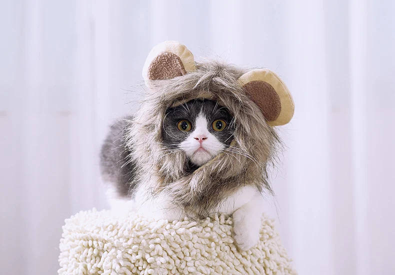 Hoopet кошка костюм одежда Кепка забавная шляпа Лев грива парик шляпа вечерние аксессуары для косплея