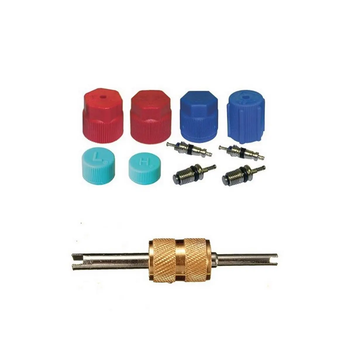 Ac Compressor System Cap & Valve Service Kit + Schrader Valve Core