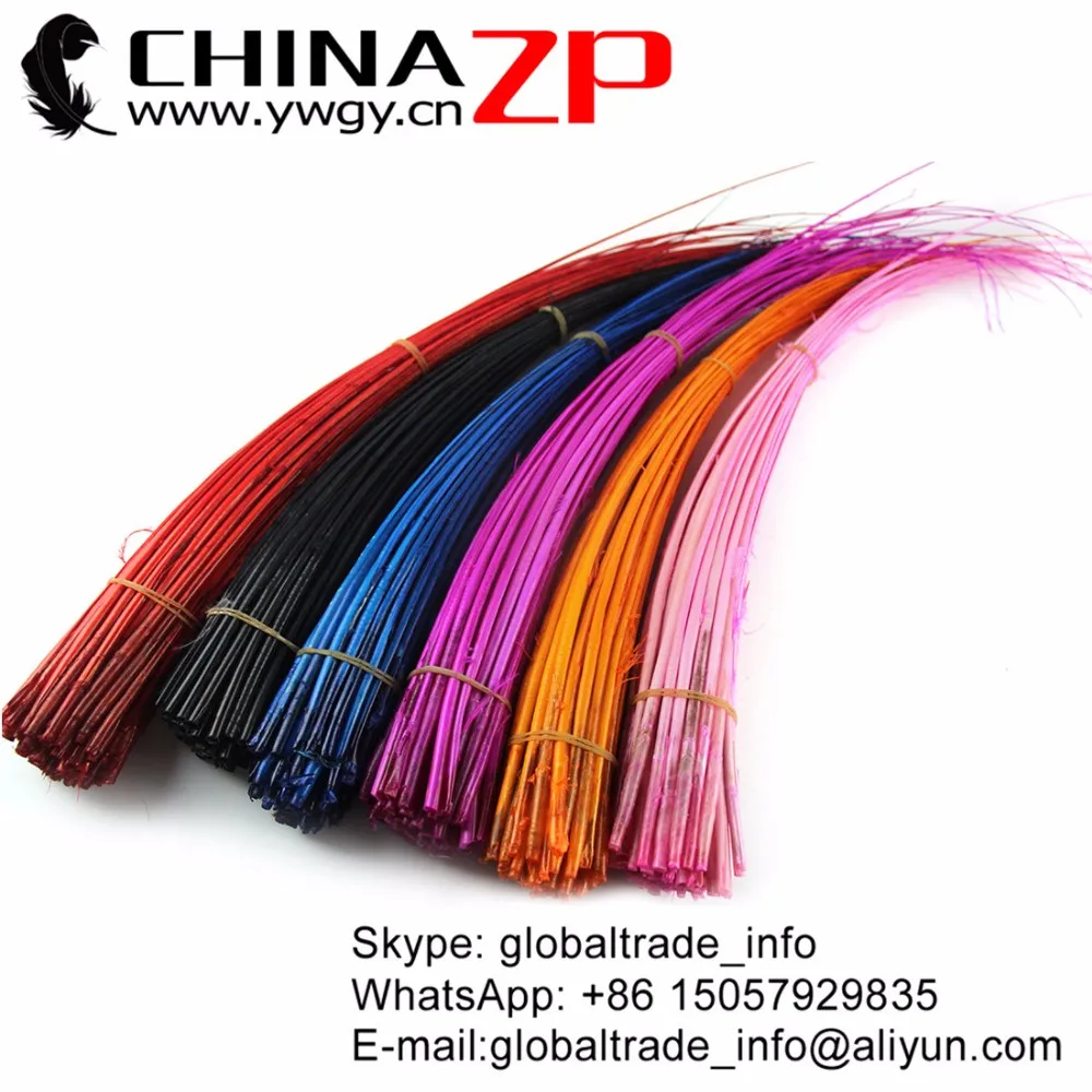 Ostrich Quill Spines (1)