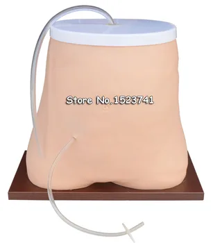

Peritoneal Dialysis Simulator Medical Education Teach Model