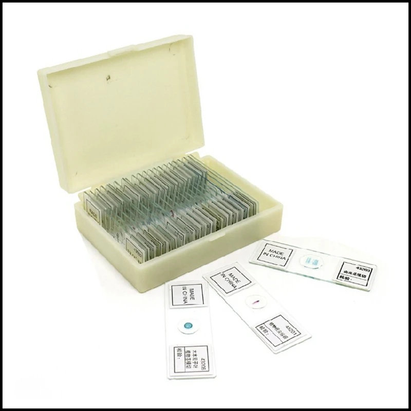 Free Shipping 25pcs Professional Type Prepared Basic Science Microscope Slides for Studentsin