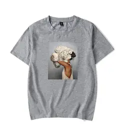 Модные серые Эстетическая футболка новые художественные узоры эстетика Досуг Хлопок Свободные крутая футболка