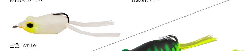 ENG_05