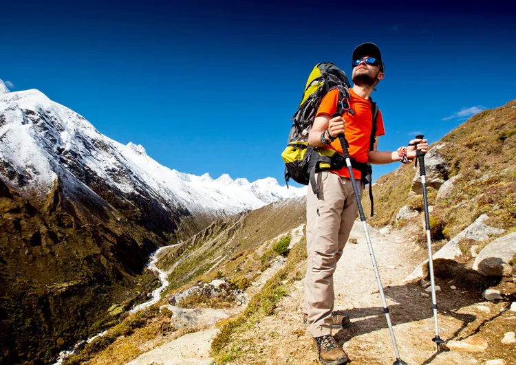 Пеший Туризм Трость Регулируемая Альпинизм палка для ходьбы Trekking Stick резиновая советы для трости