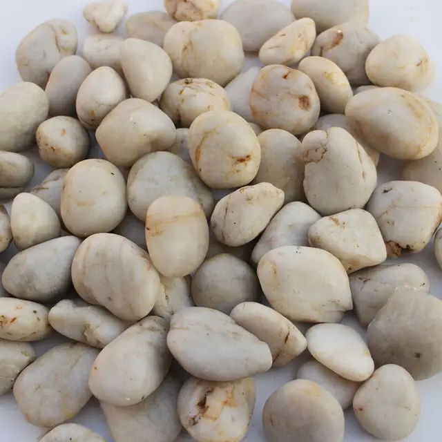 cobblestones gravel fish stones