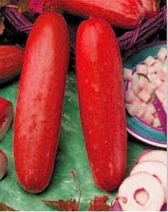 

Hot Sale!30pcs/bag mini cucumber Bonsai,Miniature cucumber,Organic fruit vegetable Plantas,miniature garden,rare plants for ho