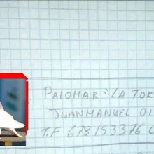 Голубь учебные материалы алюминиевые кольца по индивидуальному заказу