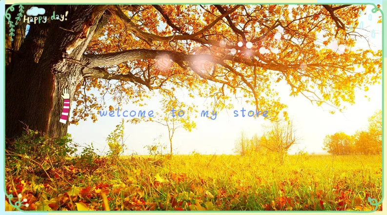 welcome my store