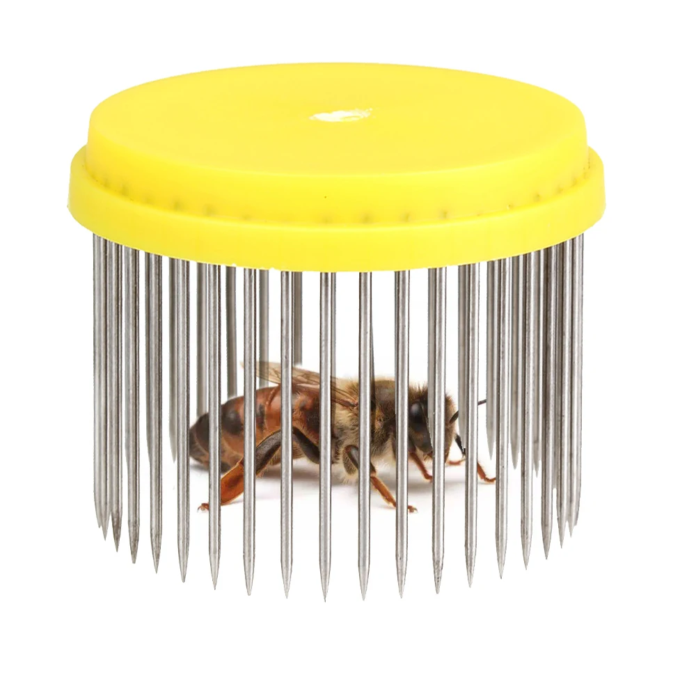 2 шт. queen пчелы Нержавеющая сталь иглы Кейдж Держите безопасный Пчеловодство оборудования тюрьму пчелы ловить приспособление для пчеловодства Малый клетки для животных