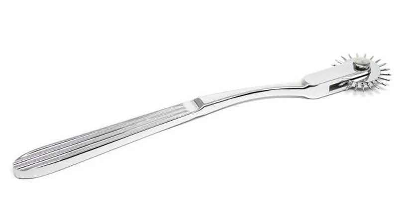 HTB1u7JeXRaE3KVjSZLeq6xsSFXaR