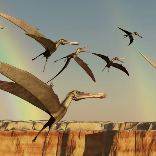 A flock of Pterodactyls fly out of a canyon Poster Print (40 x 20)