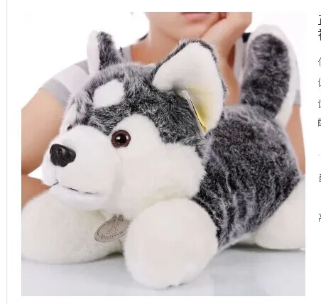 stuffed animal 25 cm plush simulation husky dog doll gift w2517 | Игрушки и хобби