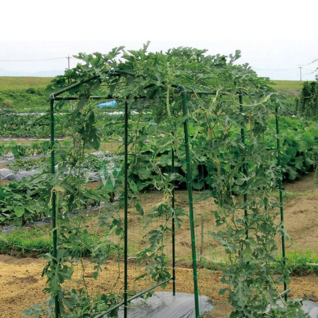 Nylon Trellis Netting Plant Support For Climbing Plants Vine Veggie 1.8X1.8M Garden Plants Vegetables Supplies