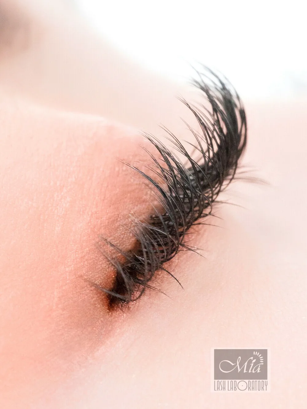 Extensão dos Cílios Permanente por Mia Chicote de Laboratório c d dd 8-15mm Mista Super Macio Lash X-wrap Cashmere Plana Semi 0.15 - 0.20 j b 29 Lash X-wrap Cashmere Plana Semi Permanente por Mia Chicote de Laboratório
