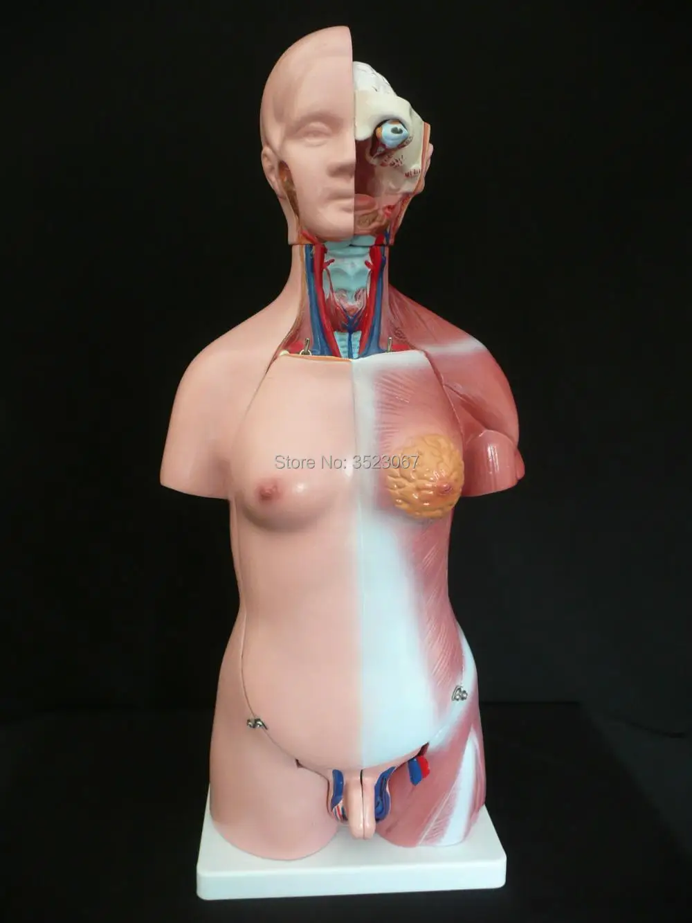 45cm