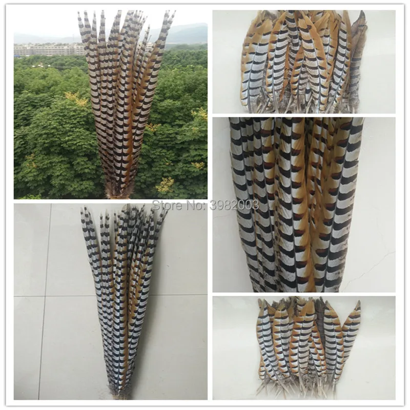 Wholesale 50pcs Natural Rare Copper Chicken Feather 10-64 Inch Variety Size Decoration DIY Collection Stage Performance