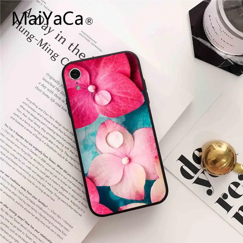 Flower Lotus Tulip