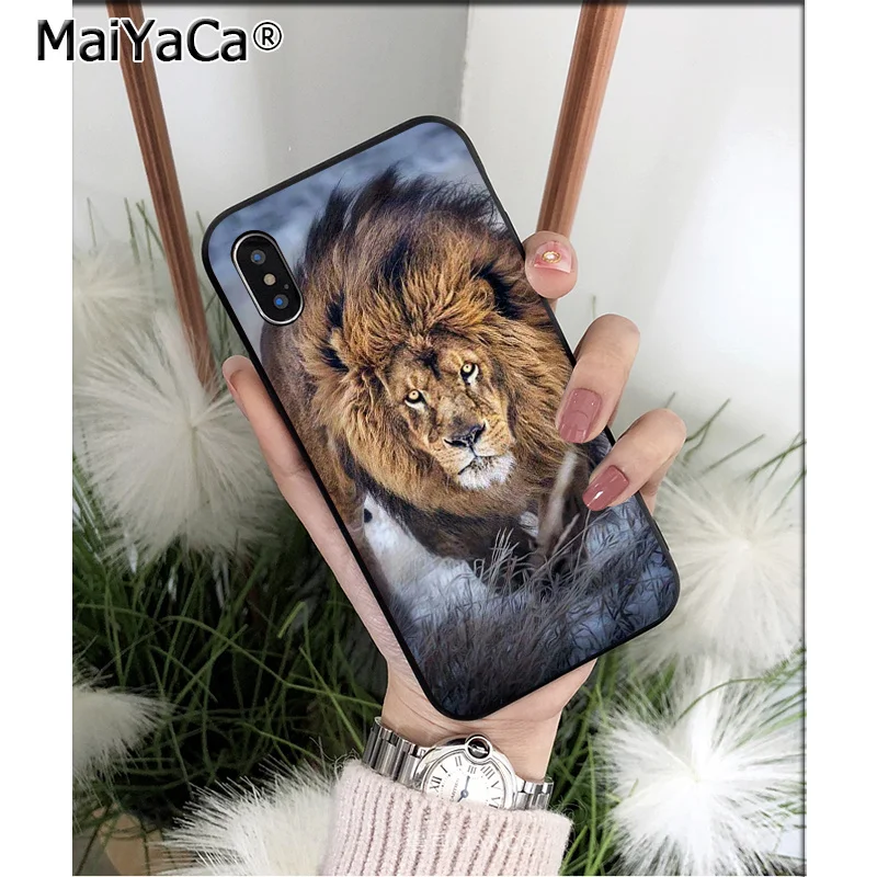 Cool Animal Lion
