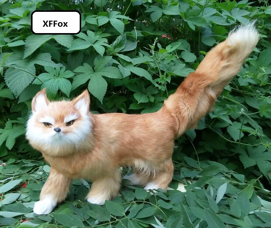 HTB1B4lyLpXXXXaAXXXXq6xXFXXXI